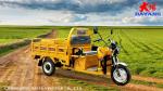 Cargo Tricycle 1000w 12000w 1500w Electric Adult Motorcycle Blue 3 Wheels CCC