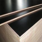 No Formaldehyde Hardwood Faced Plywood For All Types Of Adhesive Production