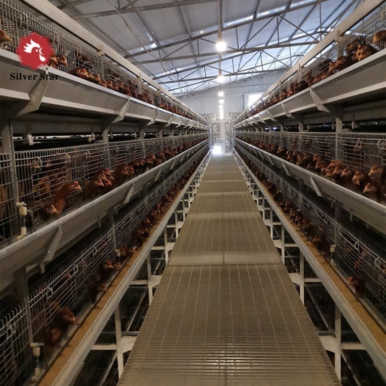 Poultry H Type Cages For Laying Hens Chicken Farm Equipment