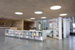 Library Ceiling Tile Sound Absorption Isolation Board Wood Wool Cement Acoustic