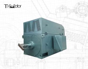 China Squirrel Cage High Speed Electric Motors High Voltage Electric Motors 6KV 10KV IP23 IP54 IP55 factory