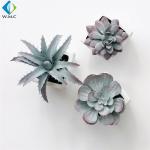 Artificial Plastic Succulent Plants 5-10 Years Life Time For Room Ornament