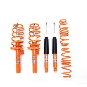 China EDDY Seamless Integration: OEM Matched Shock Absorbers For VW POLO Series factory
