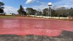Park Synthetic Sports Flooring 13mm Eco Color Customized