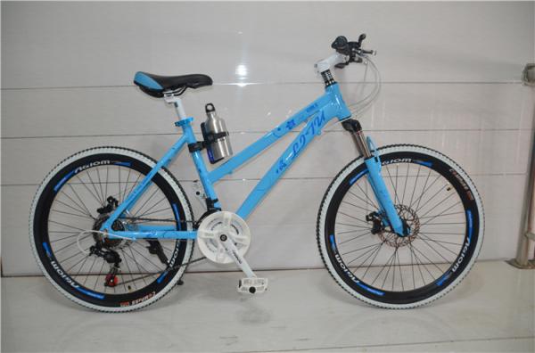 EN standard 36 spokes 24/26 inch alloy mountain bike/bicicle MTB with Shimano 21