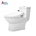 American standard intelligent electronic flush toilet bowl seat cover