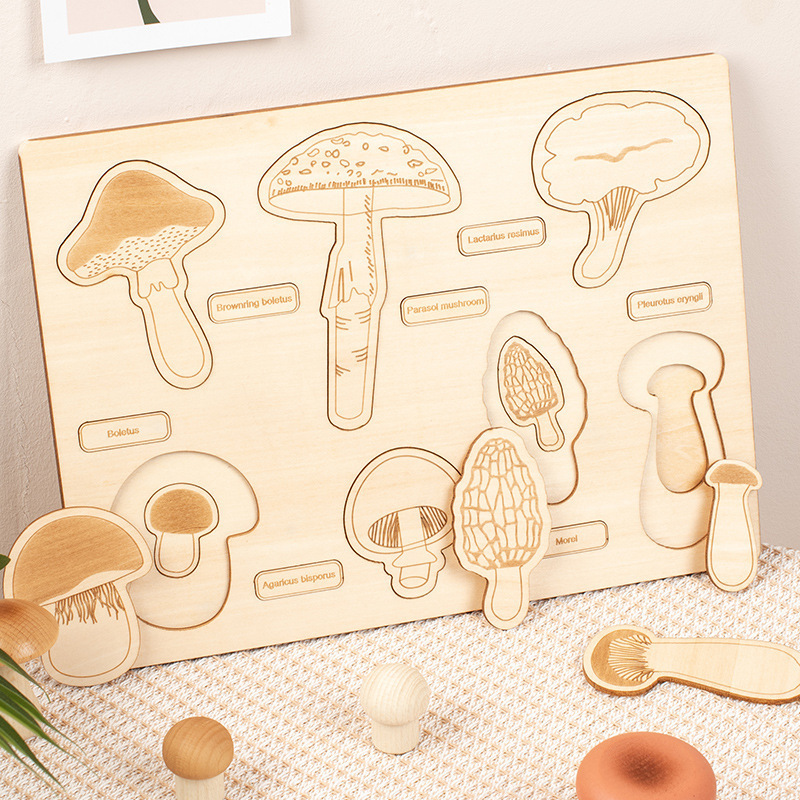 Montessori Toy wooden Mushroom Growth Cycle Puzzle &Wooden Dinosaur Puzzle