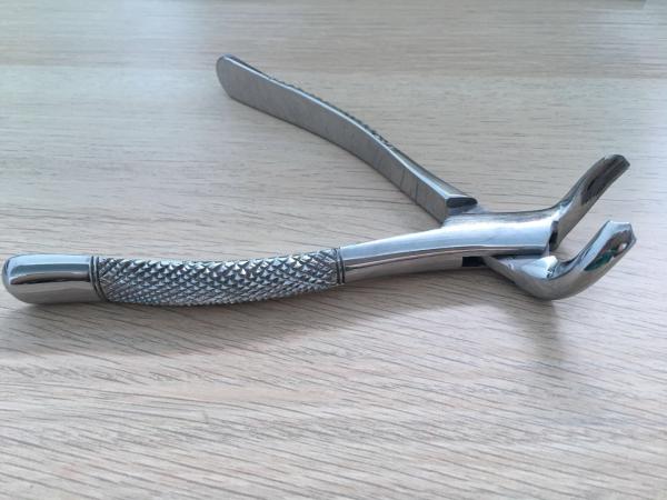 Hard SS Dental Extraction Forceps Tiger Brand Passivated Rusting Prevention