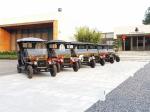 CE Approval Antique Electric Car 11 Seats Car Grade Painting