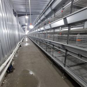 China Hot Galvanized Battery Chicken Cage For Broiler 17 Chicks / Cell factory