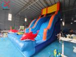 OEM/ODM Commercial Inflatable Slide Inflatable Dry Slides Outdoor