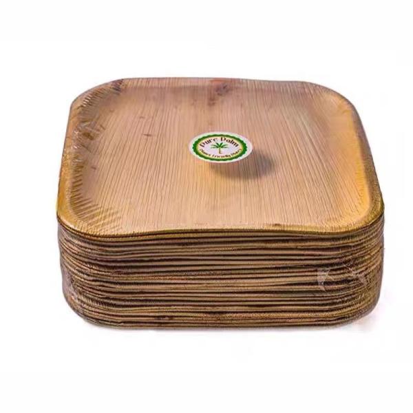 Biodegradable Disposable 10 Inch Square Areca Palm Leaf Plates For Corporate