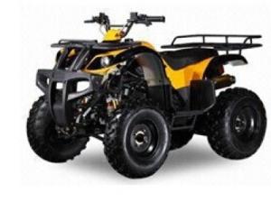 China 150cc-300cc Air Cooled ATV/Quad factory