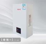 20kw 24kw Wall Mount Gas Boiler Domestic Lpg Gas Combi Boiler Liquefied