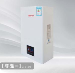 China 20kw 24kw Natural Gas Lpg Condensing Combi Boiler factory