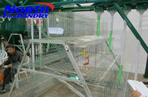 China Chicken layer cage price factory