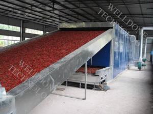 China 110 / 220V Continuous Conveyor Belt Dryer With Hot Air Drying System factory