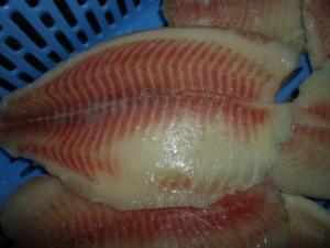 China Thailand Origin Fresh Frozen Seafood / Bulk Frozen Fish Tilapia Fillet factory