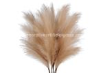 Natural Pampas Grass Decor Preserved Fresh Flowers For Dropshipping