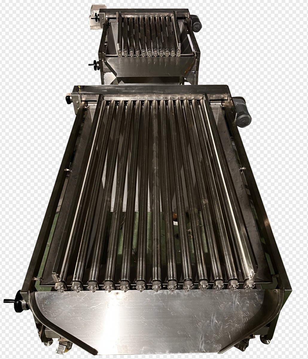High Quality PLC Control Fish Grading Line For Sorting Small Fish With Automatic
