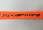 Personalized Teacher Lanyards / Safety Release Lanyards For Business Gifts