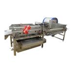 High Capacity 2000kg/h Vegetable Cutting Cabbage Lettuce Washing Processing Line