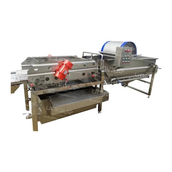 High Capacity 2000kg/h Vegetable Cutting Cabbage Lettuce Washing Processing Line