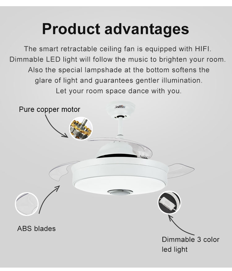 Hidden Blades Ceiling Fan with 5 Speeds and Modern Design in Black/White/Multi Colors