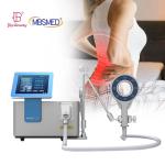 Pemf Loop Equine Pmst Loop Physical Therapy Magnetic Pmst High Powered Magneto