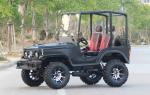Mini Jeep 4WD Racing ATV Sports Go Kart Buggy For Adult , 300cc Go Kart