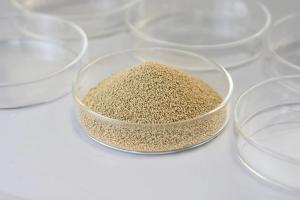 China High Reusability Immobilized Lipase Granule 4,000U/G factory