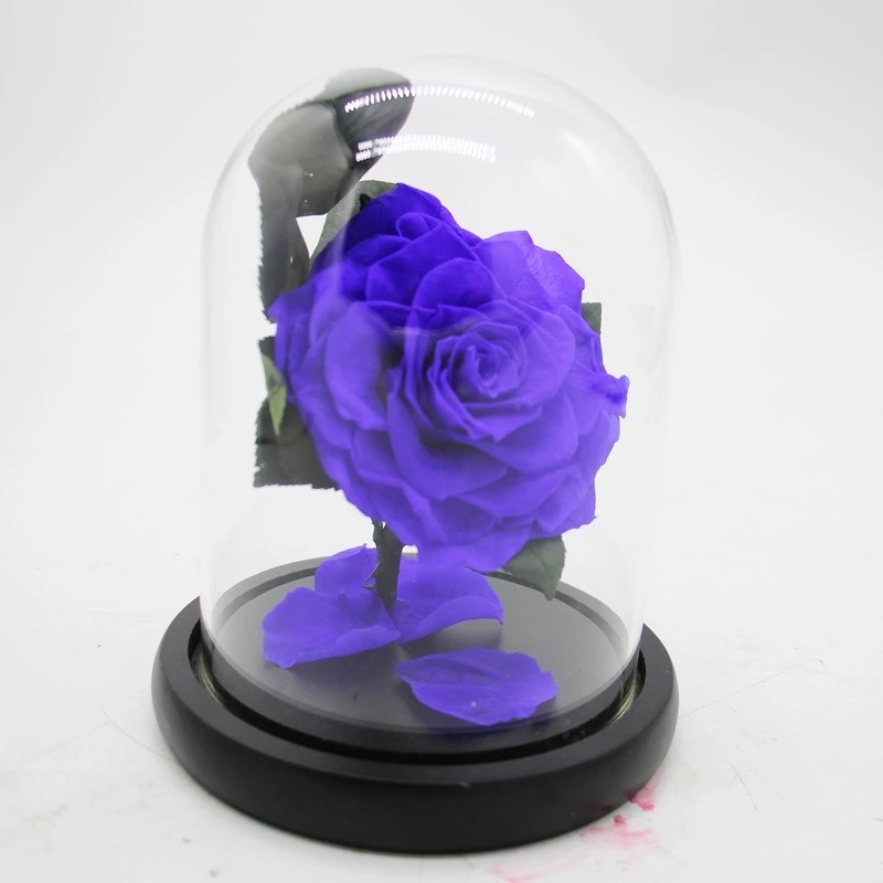 Real Preserved Forever Rose, Eternal Rose, Galaxy Rose, Preserved Flowers Flower Crafts Preserved roses