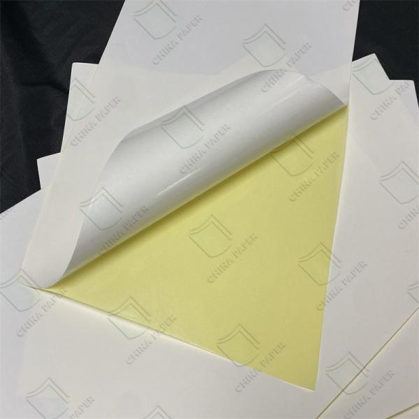 China High Glossy / Semi Glossy Self Adhesive Sticker Paper For Professional Labeling Results factory