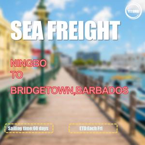 China Ningbo To Bridgetown Barbados Sea Freight Forwarding Services Via Kingston factory