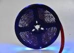 App Control 20lm/Led 2700K 12v 5050 Rgb Led Strip