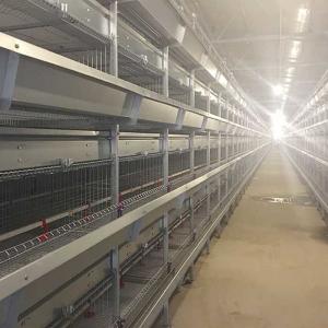 China Manual Feeding System 45 Days Chicken Cage , 3 Tiers Chick Rearing Cage factory