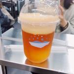 500ml disposable pp disposable cups with dome lids for cold drinks