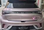 Small Full Electric Car New Enegy Sedan BYD Used Car Used BYD Dolphin