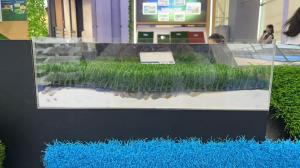China Non-infilled Artificial Turf With Shock-absorbing Mat For Sports Fileds factory