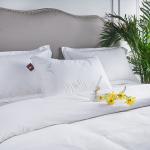 Cotton Hotel Quality Pillows , Anti - Mite Fabric Neck Body Pillow Custom