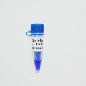 China 10bp DNA Ladder Gel Electrophoresis High Purity Reagents on sale