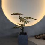 Lifelike Green Plastic Artificial Plants 70-120cm For Indoor / Outdoor Decor
