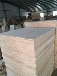Contemporary Design Style Solid Wood Panels Paulownia Wood Board Grade AB from