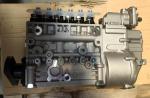 VG1560080023 WD615 Engine HOWO Fuel Injection Pump