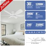 Energy-Saving 1stshine Ceiling Fan with 6 ABS Blades 3 Color LED Light