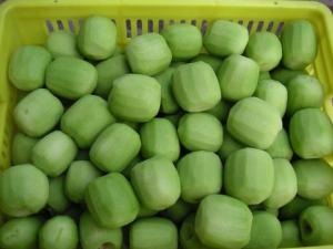 China Grade A IQF Frozen Fruit / Fresh Kiwi Various Shape Or Size Optional factory