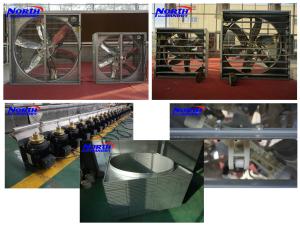 China poultry house air cooler exhaust fan factory