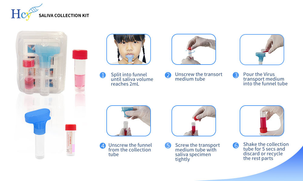 ISO13485 NMPA DNA Saliva Collection Kit For Diagnostic Testing
