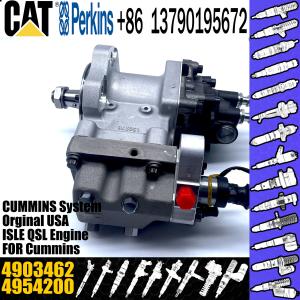 China Excavator Parts ISC8.3 QSC8.3 Engine fuel injection pump P5594766 4903462 4954200 4921431 3973228 factory