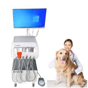 China Dental Mobile Cart Veterinarian Mobile Cart 550W Medical Trolley Pet Teeth Care Vet Use Dental Treatment Unit factory